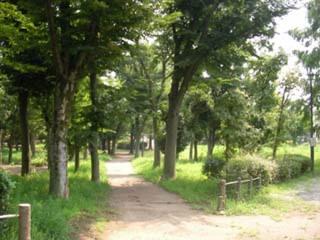 小柳公園(公園)まで200m メビウスメルズⅡ