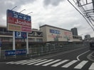 コ－ナン(電気量販店/ホームセンター)まで1266m マンション豊島