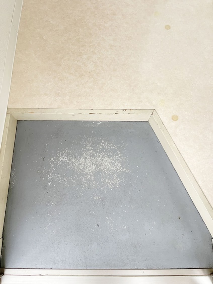 玄関 ｻﾌﾞｳｴｲ北綾瀬-B