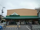 マルエツ大森東店(スーパー)まで570m Tino
