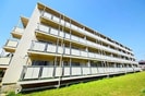 ビレッジハウス善部５号棟の外観