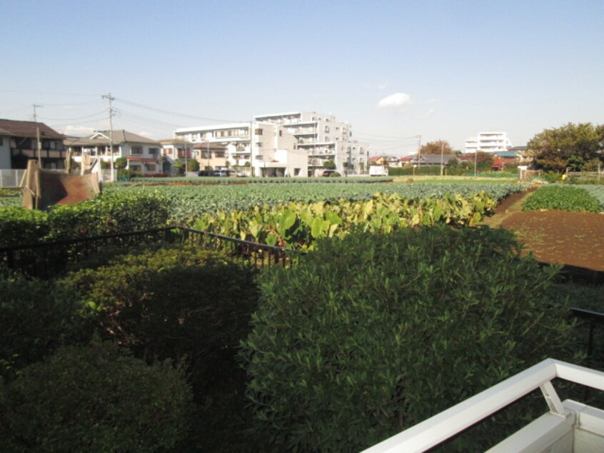 室内からの展望 ファミ－ル