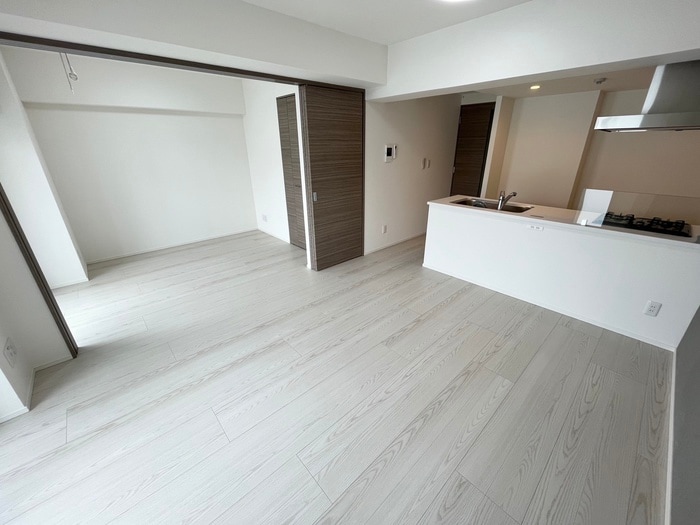 居室 レオーネ錦糸町