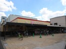 オリンピック下篠崎店(スーパー)まで338m アルカディアⅡ