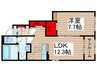 ドリーム 1LDKの間取り