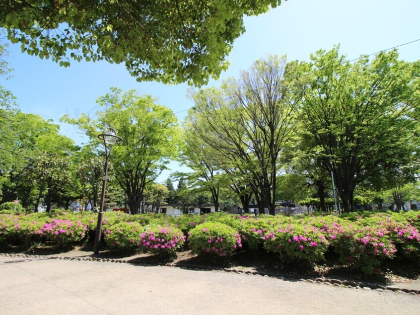 鹿沼公園(公園)まで537m コ－ラルハイム