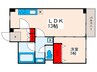 早川住建田端マンション 1LDKの間取り