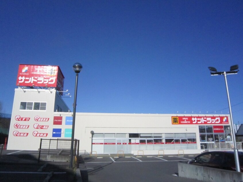 サンドラッグ岡津店(ドラッグストア)まで1100m 岩崎ハイツ