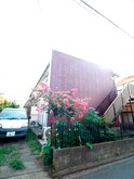完成写真