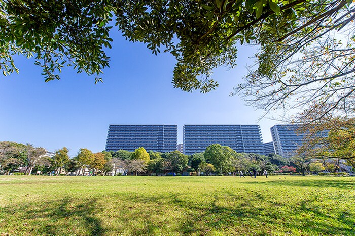 稲毛東公園(公園)まで50m ＬＵＣＲＡＳ