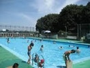 弘明寺公園プール(公園)まで191m プレジュールメゾンⅣ
