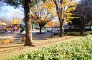 東柏ヶ谷近隣公園(公園)まで500m ボ－ヌンク相模野