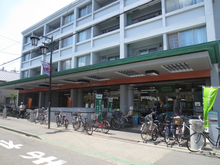 コープみらい(スーパー)まで355m 泰明コーポ