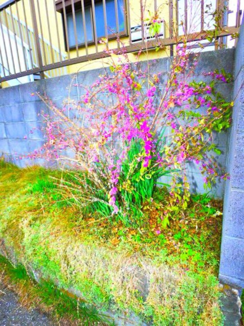 その他 サニーヒル奥村