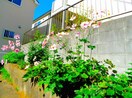 周辺環境 サニーヒル奥村