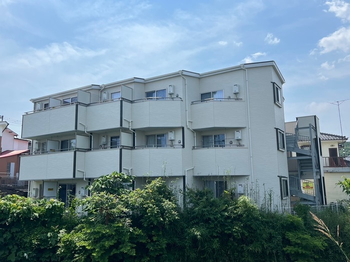 外観写真 ルピナス