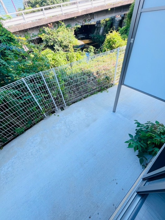 室内からの展望 ルピナス