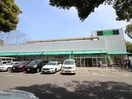 フードワン淵野辺店(スーパー)まで434m 第７矢沢ビル
