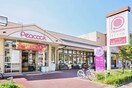 ピーコックストア 玉川上水店(スーパー)まで1065m メゾンシャレ－