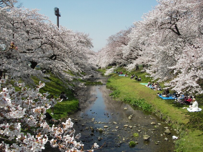 立川公園(公園)まで122m ハイムサンパーク