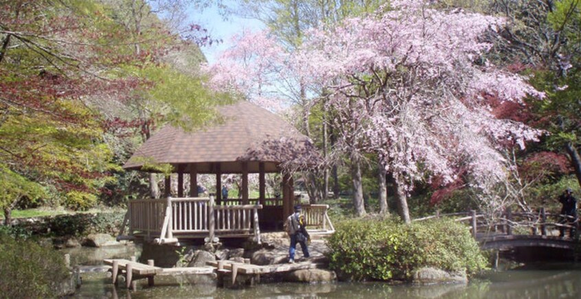 東高根森林公園(公園)まで499m プレンティービル