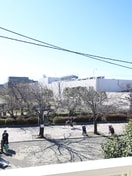 室内からの展望 エーデル鎌倉