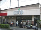 ユーコープかながわ井田三舞店(スーパー)まで280m カロス３０