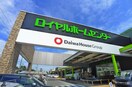 ロイヤルホームセンター(電気量販店/ホームセンター)まで1900m プランドール八千代