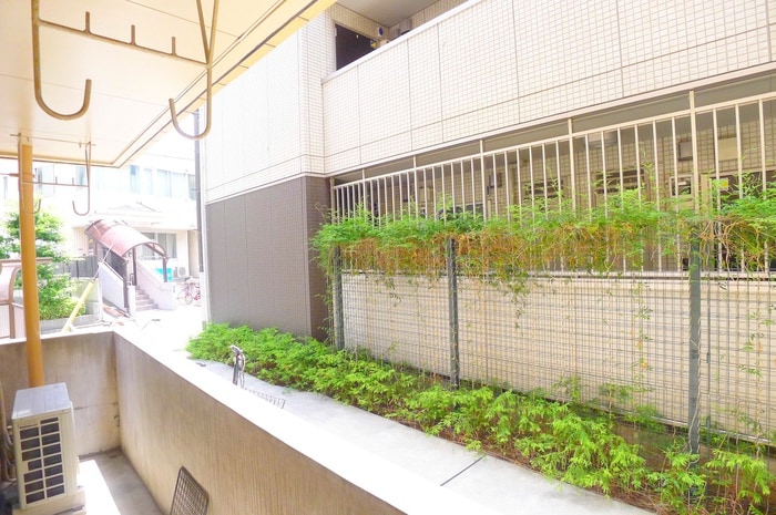 室内からの展望 サンエイトマンション