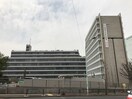 目黒区役所(役所)まで450m 羊館ハイツ