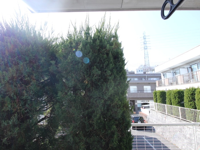 室内からの展望 アドニス・イ－スト