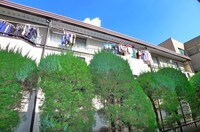 マインコ－ポ１