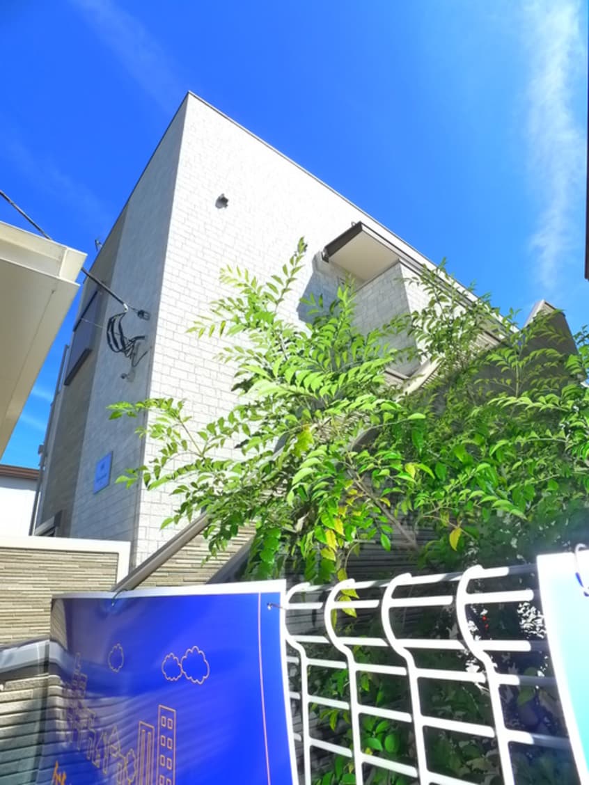 その他 ルミナス