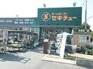 セキチュー(電気量販店/ホームセンター)まで550m アム－ル千間台