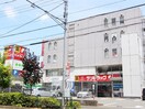 サンドラッグ　東府中店(ドラッグストア)まで850m グリ－ンハイツコグレ