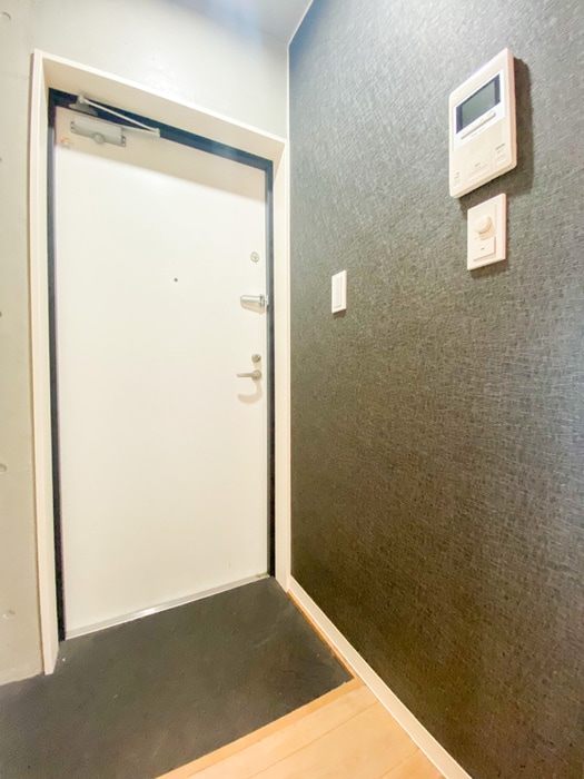 玄関 COCOFLAT田端Ⅱ