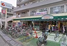 相鉄ローゼン鵠沼店(スーパー)まで800m BRANCHE