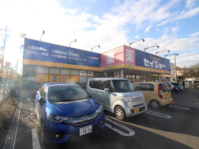 ヘルスケアセイジョー　秋津店(ドラッグストア)まで500m ソレイユ