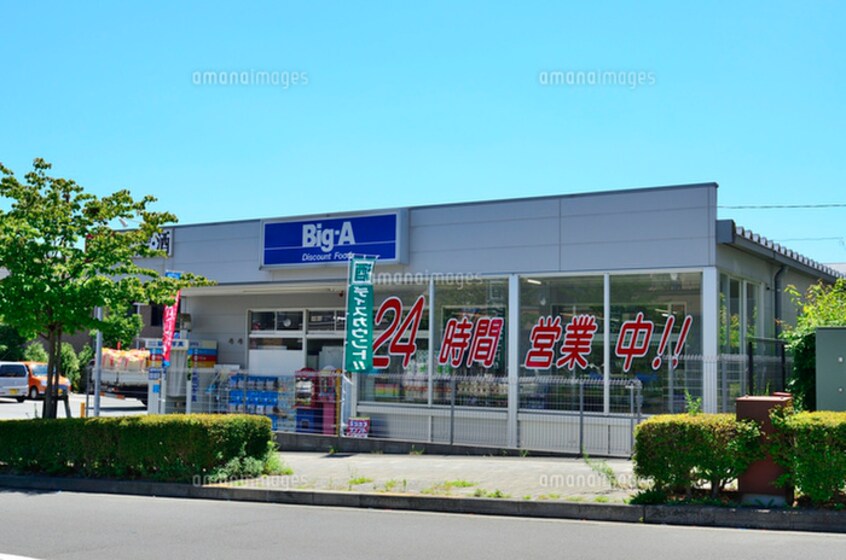 ビッグ・エー 八王子みなみ野店(スーパー)まで1200m イソヌマビル