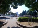 向原公園(公園)まで310m グレ－ス飛鳥