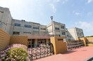 高谷小学校(小学校)まで569m ハイツコスモ弐番館