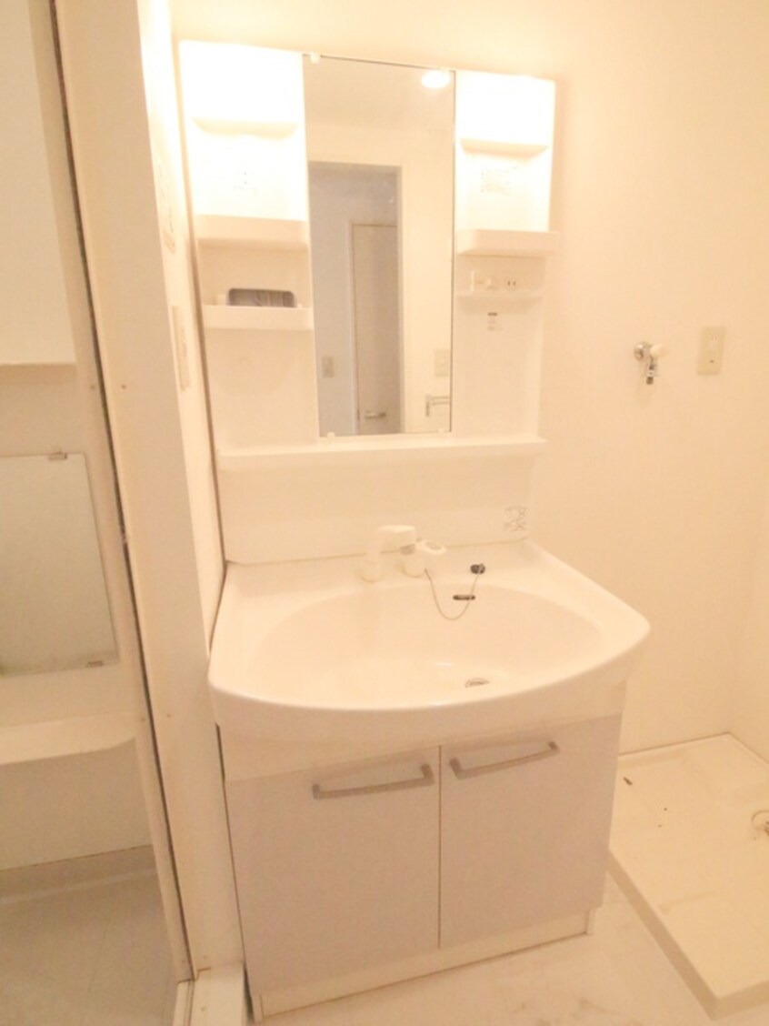 洗面 ラフィ－ネ