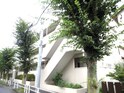 完成写真