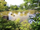 檜町公園(公園)まで600m グリーンレジデンス赤坂