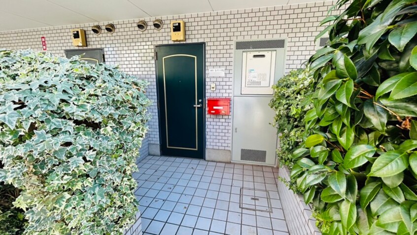 エントランス部分 レスト小杉Ⅱ