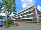 日本大学松戸歯学部(大学/短大/専門学校)まで640m アイビス
