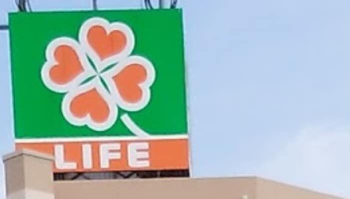 ライフ(スーパー)まで700m Loupdemer相模大野