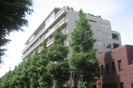 ヒルズ目白台(301)の外観