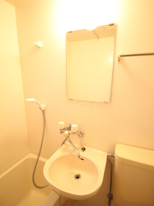 洗面 グリーンフラッツ成城