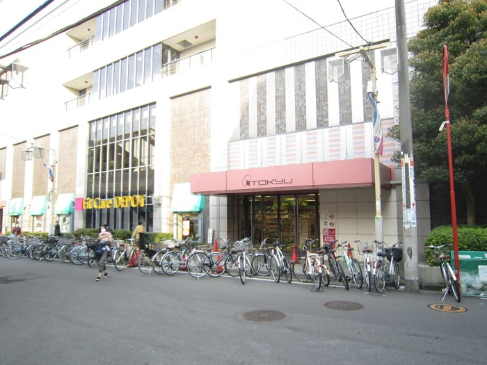 日吉東急アベニュー(デパート)まで1200m ヒルトップテラス日吉本町ｄｕｏ